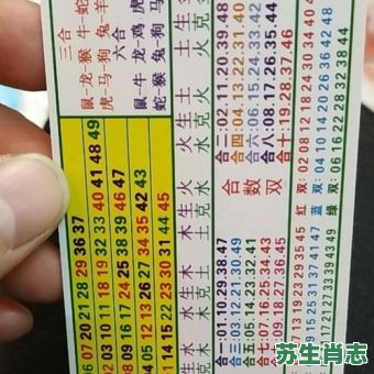 国庆玄机是什么生肖？国庆玄机在红绿打一数字