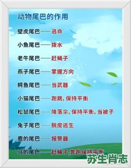 尾巴翘上天是什么生肖？尾巴翘上天的歇后语