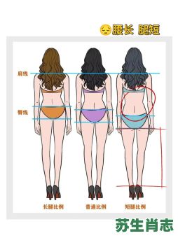 身长腿短的是什么生肖？女人身长腿短是什么命