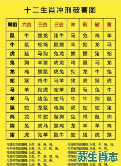 擒盗捉贼是什么生肖?擒盗捉贼最准确的生肖 擒盗捉贼是什么生肖?擒盗捉贼最准确的生肖