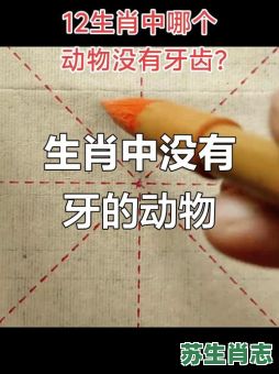牙齿尖利是什么生肖？牙齿尖利最正确生肖