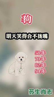 狗嘴丢骨头是什么生肖?狗嘴丢骨打一准确动物 狗嘴丢骨头是什么生肖?狗嘴丢骨打一准确动物