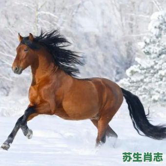 十八春气暖是什么生肖?十八春气暖打一准确动物 十八春气暖是什么生肖?十八春气暖打一准确动物