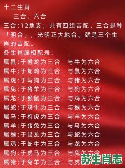 三五合一是什么生肖?三五组合打一最佳生肖 三五合一是什么生肖?三五组合打一最佳生肖