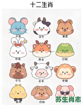 最懂爱的动物是什么生肖？董得爱的动物代表什么生肖