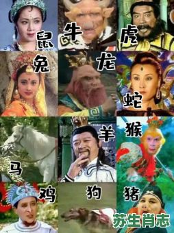 西游记十九回是什么生肖？西游记19集打一生肖