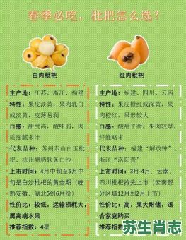 枇杷一树金是什么生肖？枇杷一树金正确答案