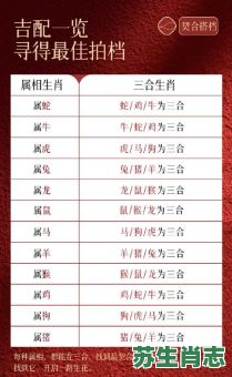 五星级宾馆是什么生肖？2025年五星级宾馆对应哪个生肖