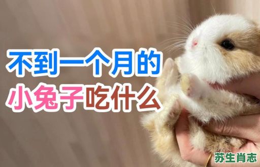 一日吃二餐是什么生肖?什么动物一天吃两餐 一日吃二餐是什么生肖?什么动物一天吃两餐