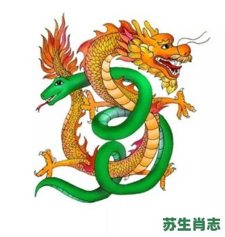 蛇会冬眠龙会飞是什么生肖？蛇会冬眠龙会飞正确答案