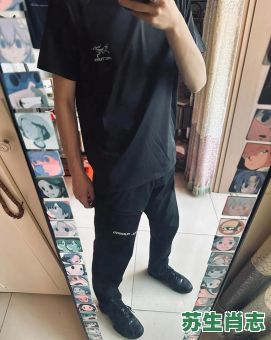 十面埋伏设圈套是什么生肖？十面埋伏正确答案一肖