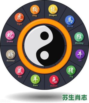 八卦转定火炼金是什么生肖？火炼金是指什么生肖