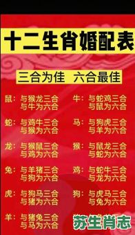 冰火两重天是什么生肖？冰天雪地打一最佳生肖