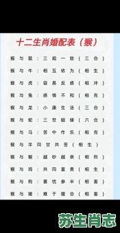 猴孙一大堆是什么生肖？一堆的生肖最佳答案