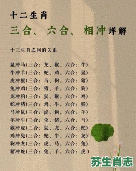 容易冲动是什么生肖？十二生肖哪个最热情