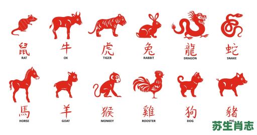 十二周是什么生肖？十二月指什么生肖