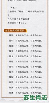 买马28是什么生肖？12生肖买马怎么买