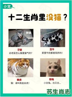 没有脚的生肖是什么？十二生肖哪个脚先出来