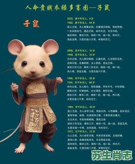 十二生肖军师是什么？军师指的是什么生肖