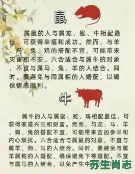 相濡以沫不离弃是什么生肖？不离不弃是什么生肖