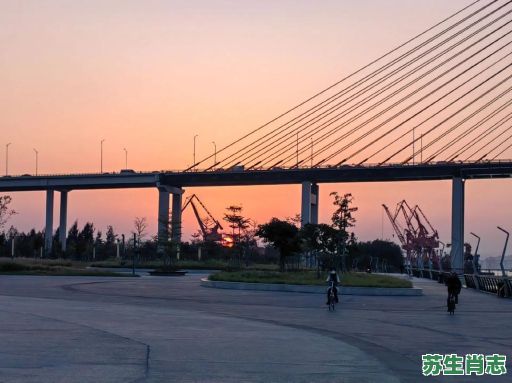 汕头大桥是什么生肖？桥是代表什么生肖