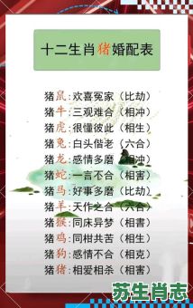 中观猪同甘共苦是什么生肖?中观猪同甘共苦最正确答案 中观猪同甘共苦是什么生肖?中观猪同甘共苦最正确答案