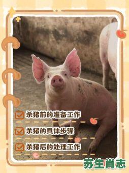 四屠夫宰猪是什么生肖？看一屠夫宰猪