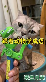 寒耕熟耘是什么生肖？寒耕暑耘精神怎么用