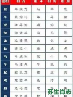 马死牛伤是什么生肖？当牛做马猜一个生肖