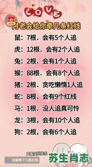 十二生肖单身的是什么？单身生肖有哪些