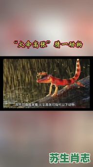 尖嘴尖牙齿是什么生肖？尖嘴打一准确生肖