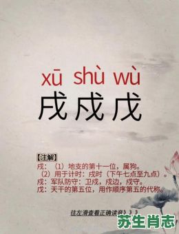 戍月有子日是什么生肖？戌代表什么数字
