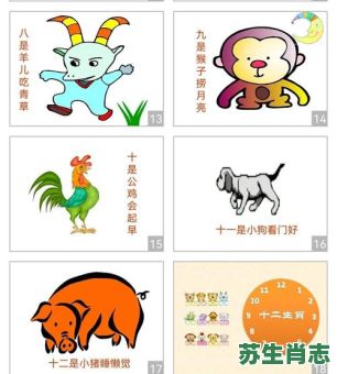 观察力强的是什么生肖？察言观色的生肖