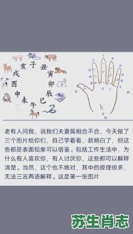 手中一里.是什么生肖?手中代表什么生肖 手中一里.是什么生肖?手中代表什么生肖