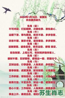 日里万机是什么生肖？三竿代表什么生肖