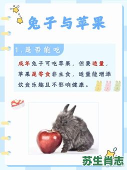 会吃水果的是什么生肖？会吃水果的动物指什么生肖