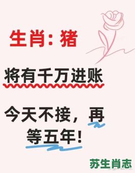 欲钱买猪先生是什么生肖？欲钱买猪先生打一最佳生肖