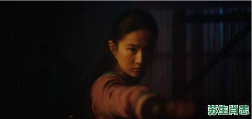 欲钱找花木兰是什么生肖？欲钱找花木兰最佳生肖