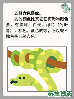 欲钱地上爬的动物是什么生肖？欲钱地下爬的动物正确一肖