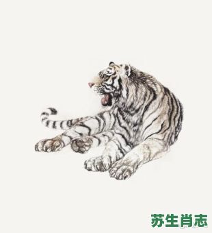 画虎画皮难画骨是什么生肖？画虎画皮难画骨最佳一肖