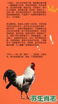 四来鸡叫三声去是什么生肖？四来鸡叫三声去最佳答案