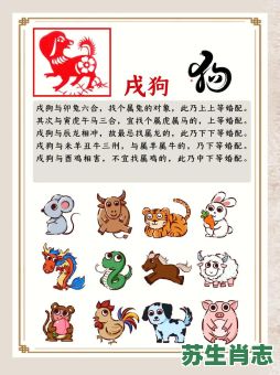 两地同发带救归是什么生肖？两地同发带救归正确答案