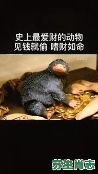 欲钱买最老最丑的动物是什么生肖？最感性的动物打一肖