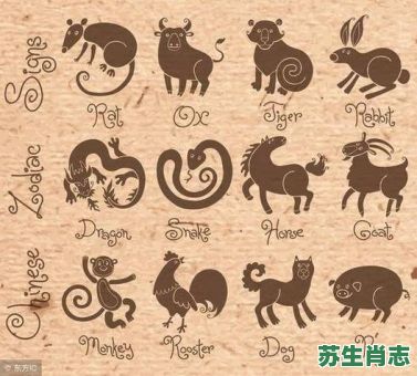 空茫生肖是什么？空芒生肖是指哪一肖