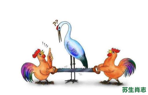 占枝头是什么生肖？飞上枝头打一肖