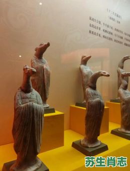 迁臣逐客是什么生肖？迁臣逐客的动物