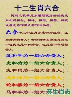 画坛奇迹是什么生肖？6合生肖是哪6个