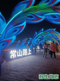 贾翠花是什么生肖？红楼梦生肖正确答案