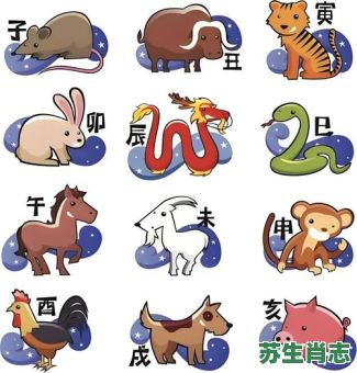 胖乎乎的生肖是什么？最会勾住男人心生肖女