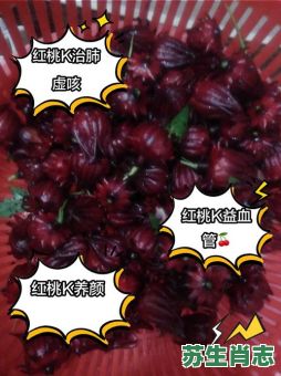 红桃k是什么生肖？红桃k代表什么数字